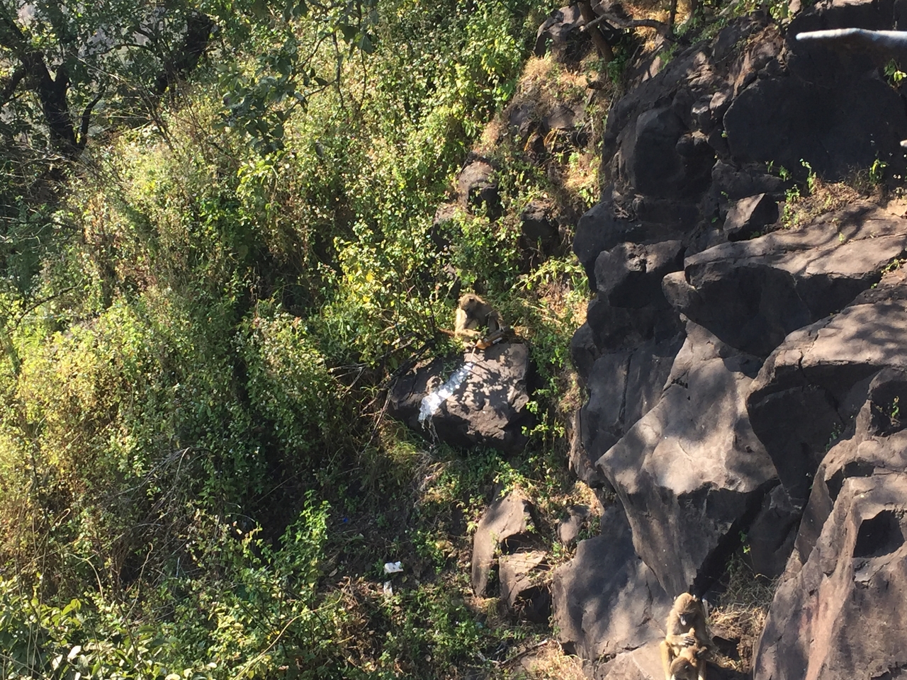 [31917] 2016_07_03_09_51_29_Africa_iPhone_6_IMG_8855_00765.jpg