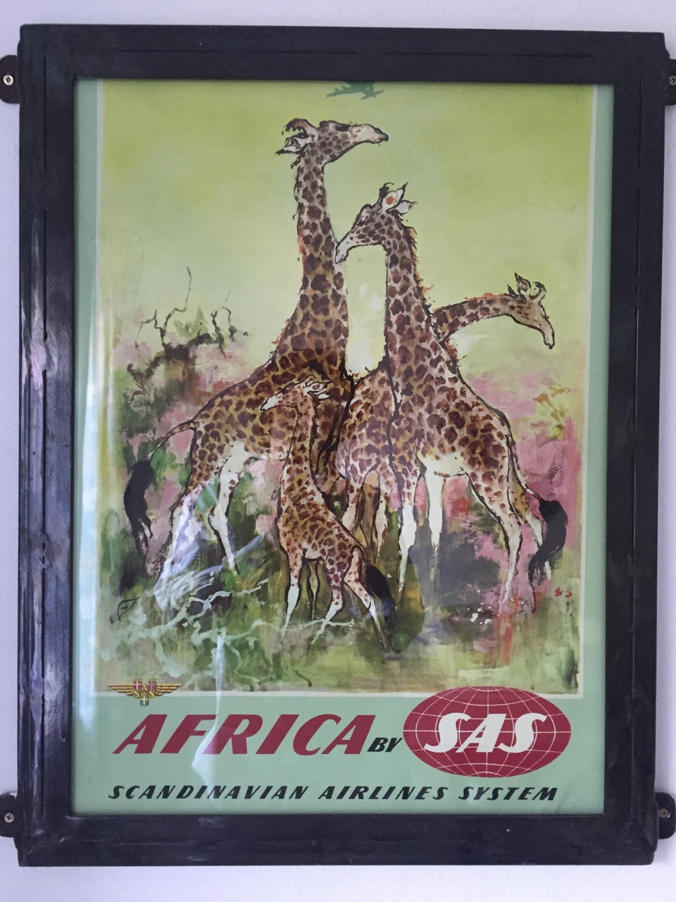 [32711] 2016_07_03_17_04_45_Africa_iPhone_6_IMG_8945_03758.jpg