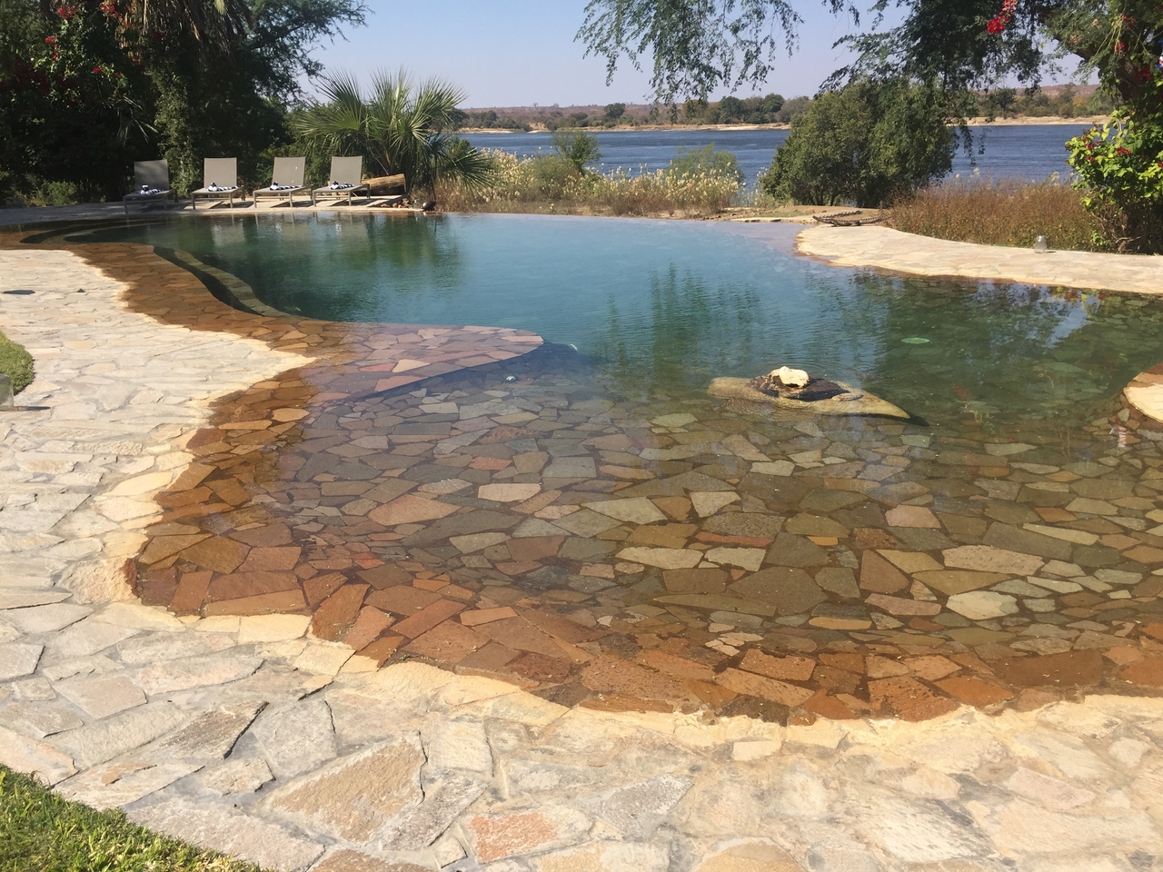 [34205] 2016_07_04_11_46_47_Africa_iPhone_6_IMG_8976_03784.jpg