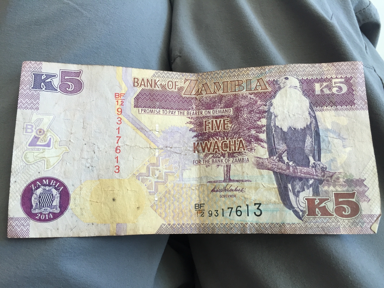 [34494] 2016_07_05_12_20_46_Africa_iPhone_6_IMG_9065_01498.jpg