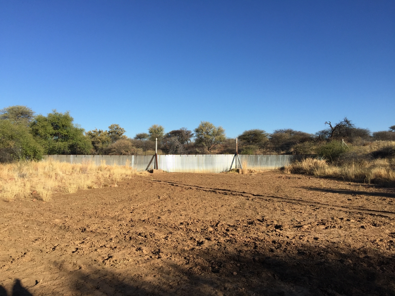 [3567] 2016_06_22_15_53_58_Africa_iPhone_6_Plus_IMG_3468_06733.jpg