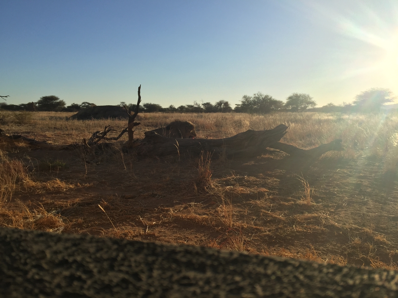 [9406] 2016_06_23_16_40_34_Africa_iPhone_6_Plus_IMG_3543_06772.jpg