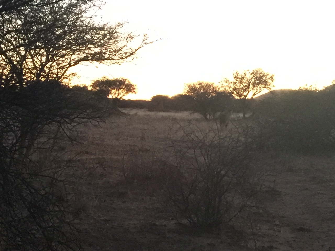 [9562] 2016_06_23_17_44_50_Africa_iPhone_6_Plus_IMG_3549_06775.jpg