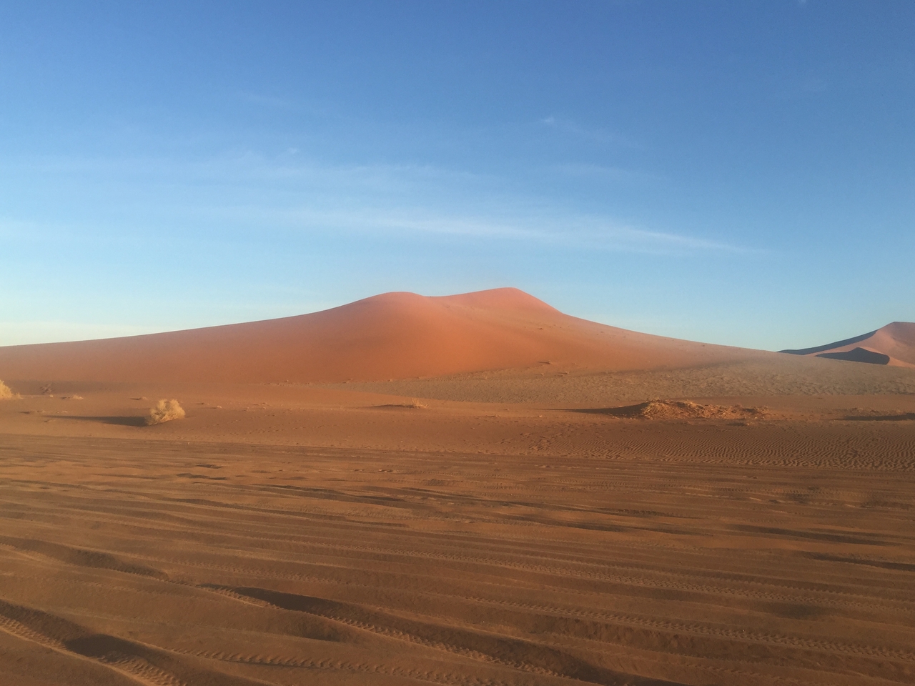 [15464] 2016_06_25_07_15_24_Africa_iPhone_6_Plus_IMG_3668_00280.jpg
