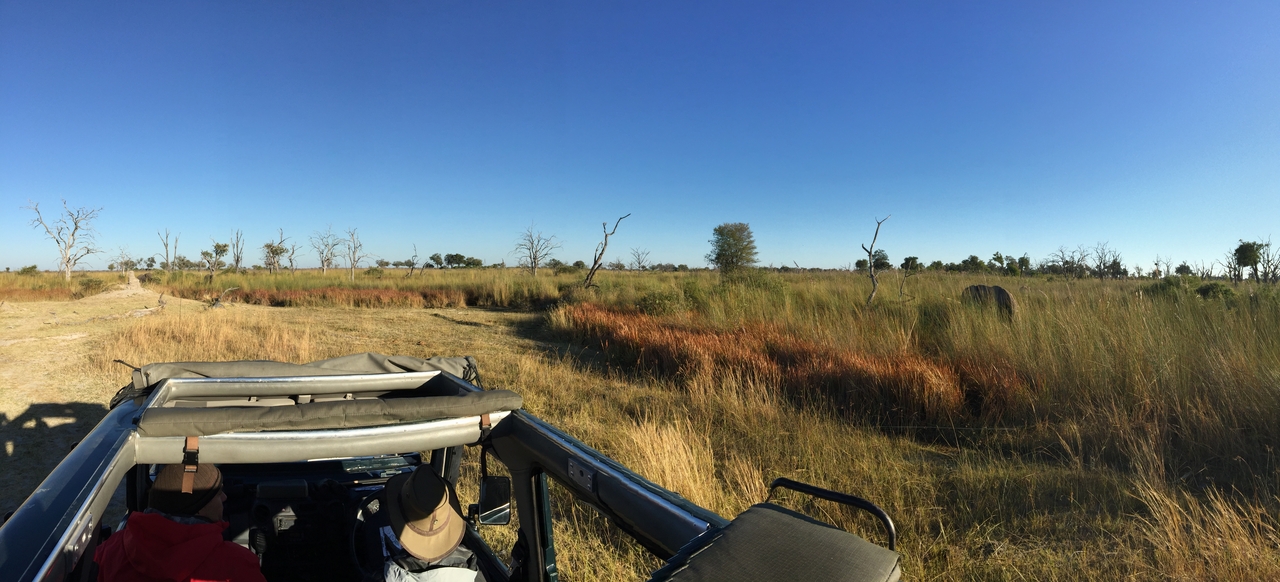 [19832] 2016_06_28_07_12_00_Africa_iPhone_6_Plus_IMG_3780_06956.jpg