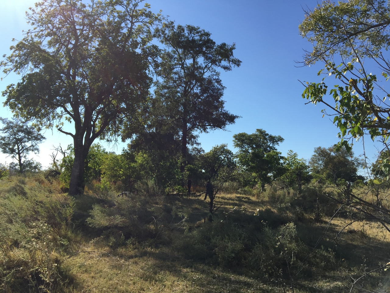 [21447] 2016_06_29_09_46_46_Africa_iPhone_6_Plus_IMG_3863_06994.jpg
