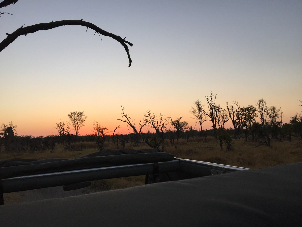 [24611] 2016_06_30_07_02_45_Africa_iPhone_6_Plus_IMG_3906_07018.jpg