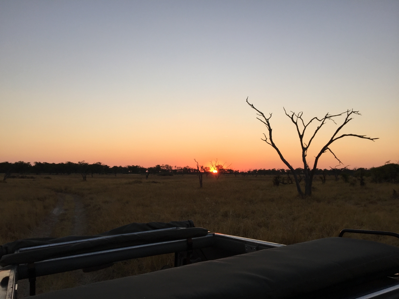[24614] 2016_06_30_07_03_36_Africa_iPhone_6_Plus_IMG_3908_00436.jpg