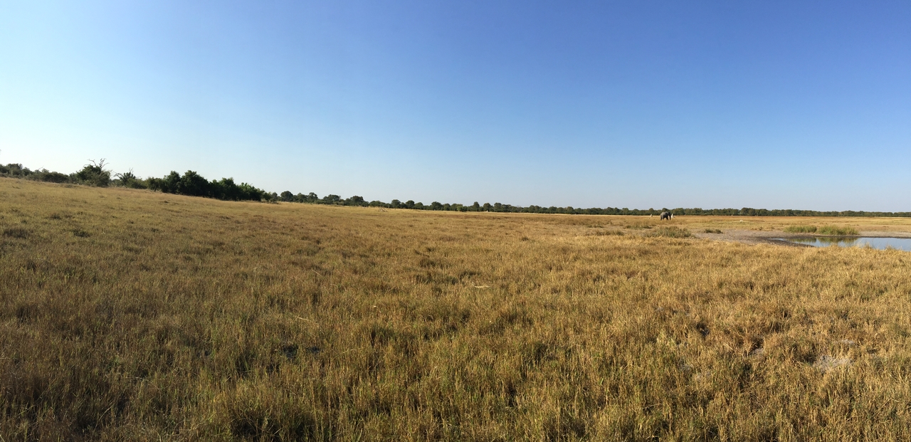 [25808] 2016_06_30_15_56_31_Africa_iPhone_6_Plus_IMG_3992_00482.jpg