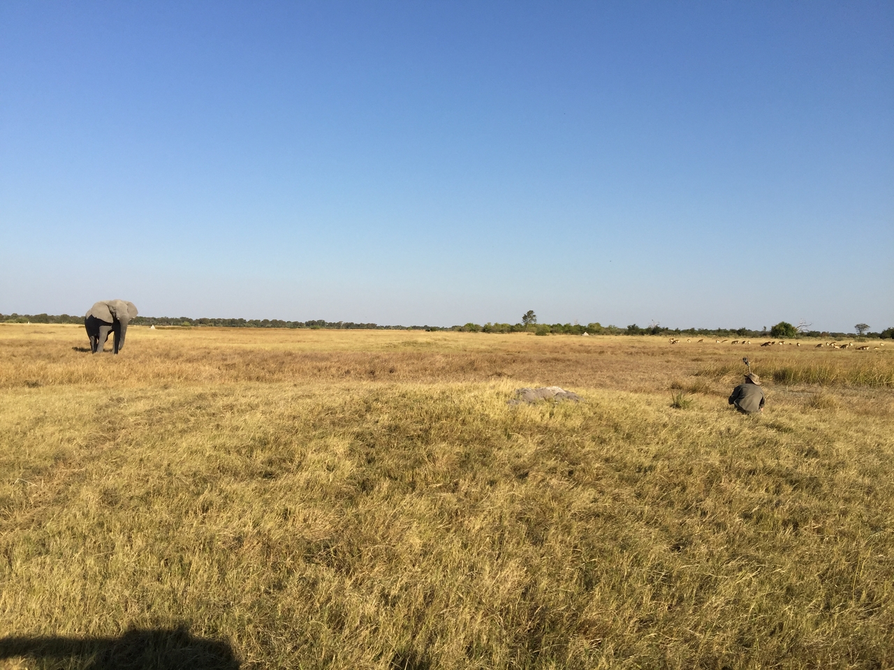 [25812] 2016_06_30_16_01_03_Africa_iPhone_6_Plus_IMG_3995_00484.jpg