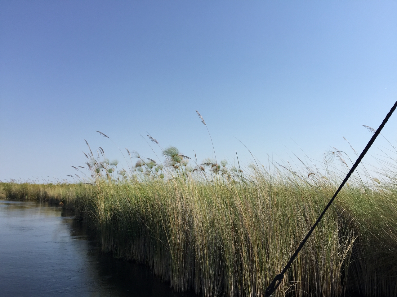 [26955] 2016_07_01_10_42_22_Africa_iPhone_6_Plus_IMG_4035_07081.jpg