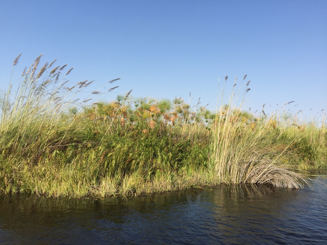 [26960] 2016_07_01_10_42_45_Africa_iPhone_6_Plus_IMG_4037_00499.jpg