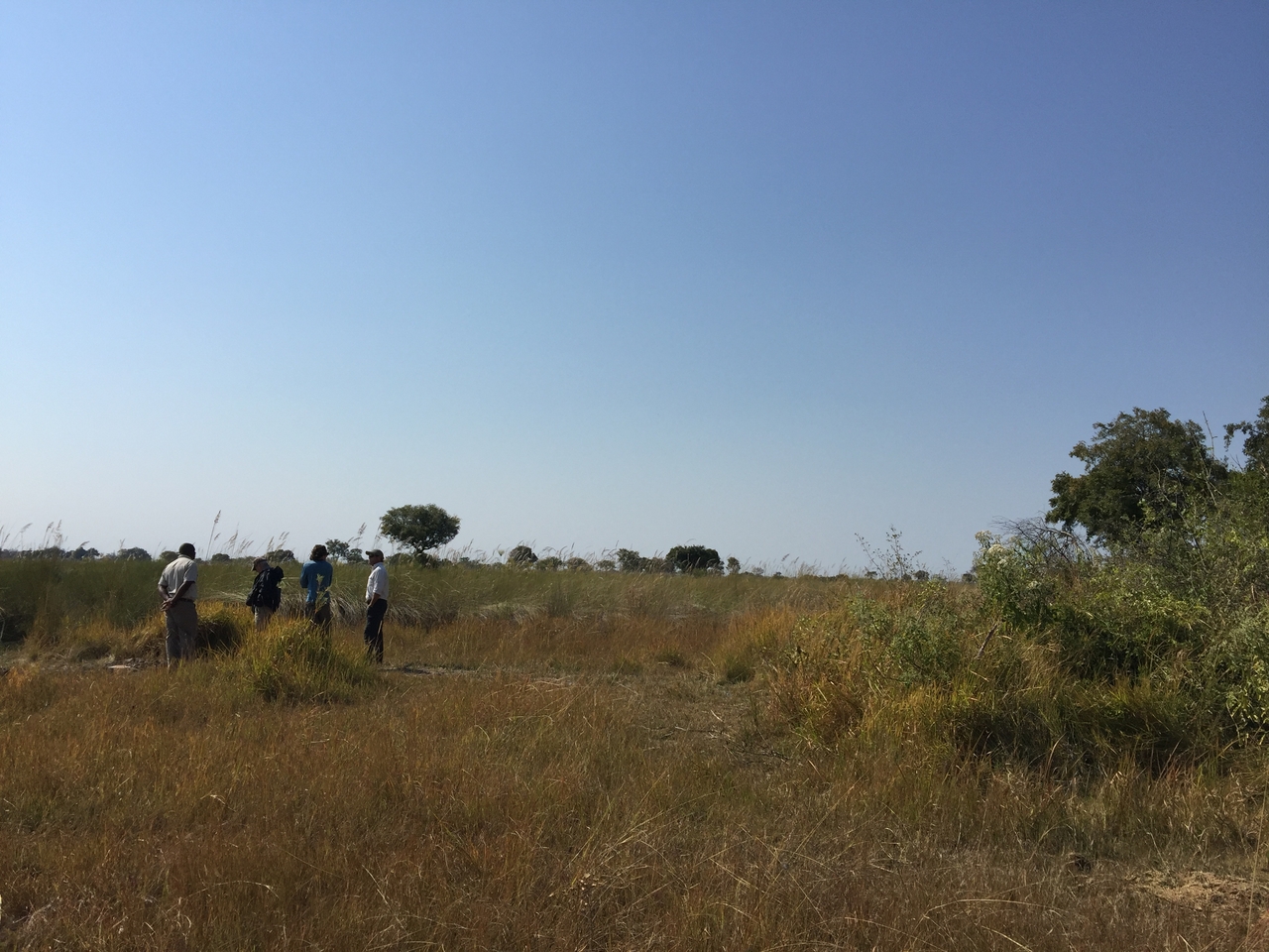 [26967] 2016_07_01_10_57_41_Africa_iPhone_6_Plus_IMG_4041_07085.jpg
