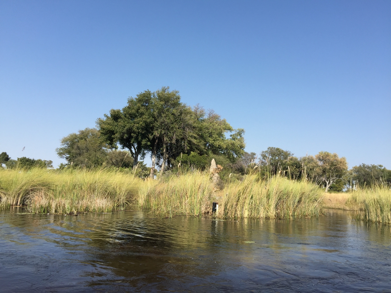 [26972] 2016_07_01_11_00_24_Africa_iPhone_6_Plus_IMG_4043_00503.jpg