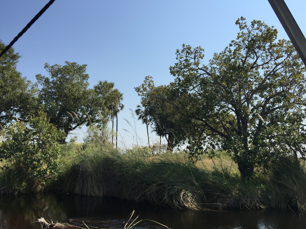 [26984] 2016_07_01_11_29_55_Africa_iPhone_6_Plus_IMG_4056_00506.jpg