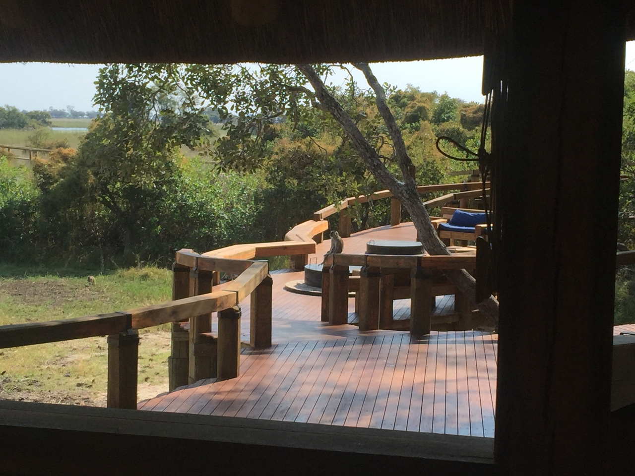 [27028] 2016_07_01_13_26_52_Africa_iPhone_6_Plus_IMG_4079_00029.jpg