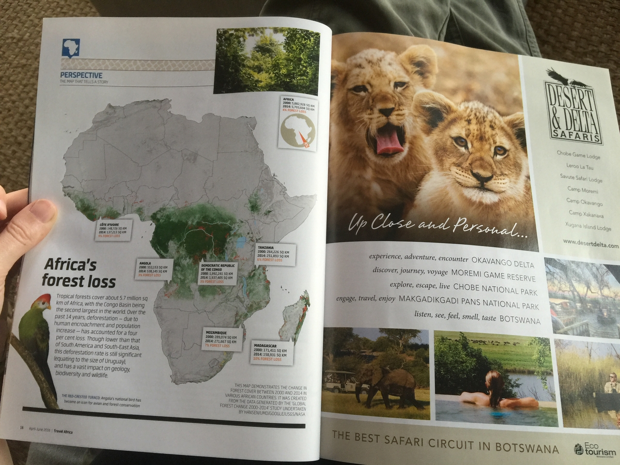[27109] 2016_07_01_14_39_44_Africa_iPhone_6_Plus_IMG_4099_00048.jpg