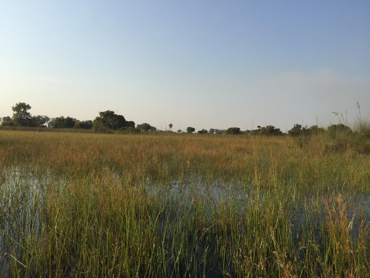 [27343] 2016_07_01_16_42_46_Africa_iPhone_6_Plus_IMG_4569_07153.jpg