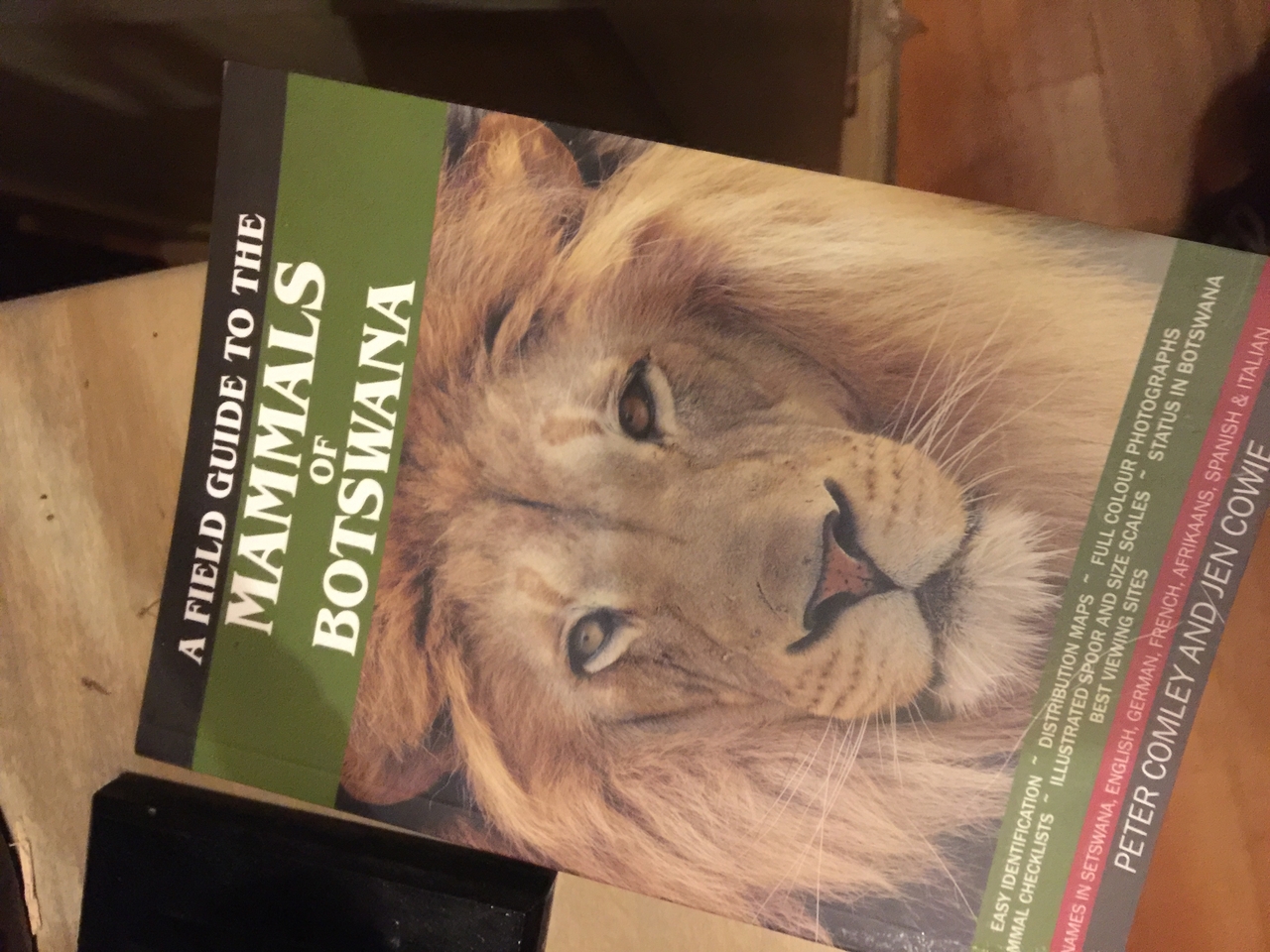 [27477] 2016_07_01_20_59_29_Africa_iPhone_6_Plus_IMG_4616_00597.jpg