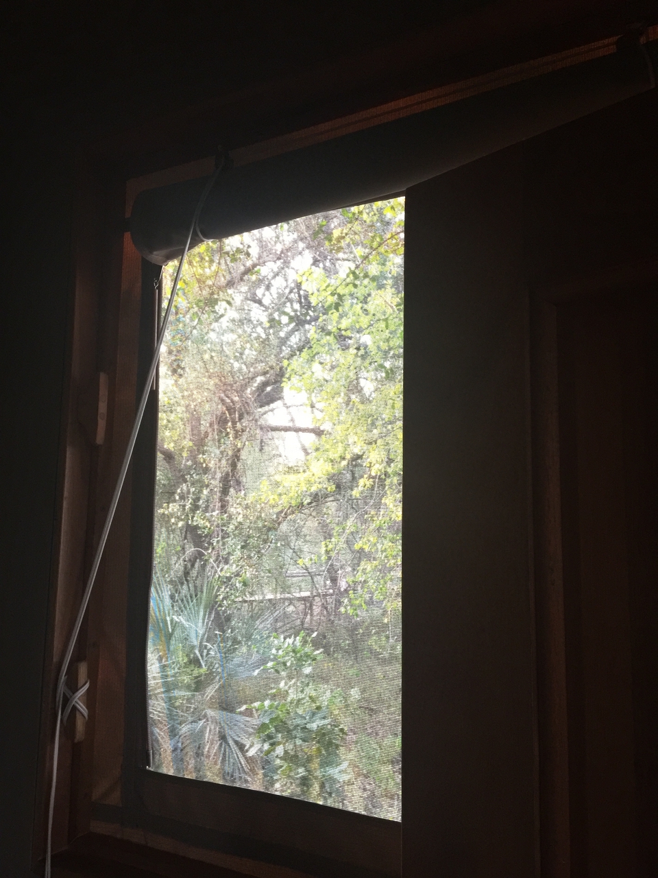 [27841] 2016_07_02_07_40_46_Africa_iPhone_6_Plus_IMG_4625_00117.jpg