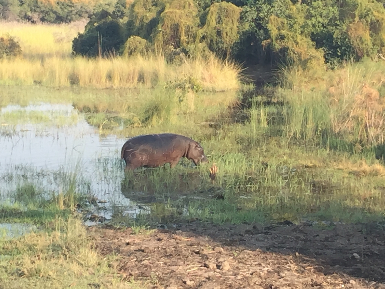 [27938] 2016_07_02_08_42_12_Africa_iPhone_6_Plus_IMG_4643_07192.jpg