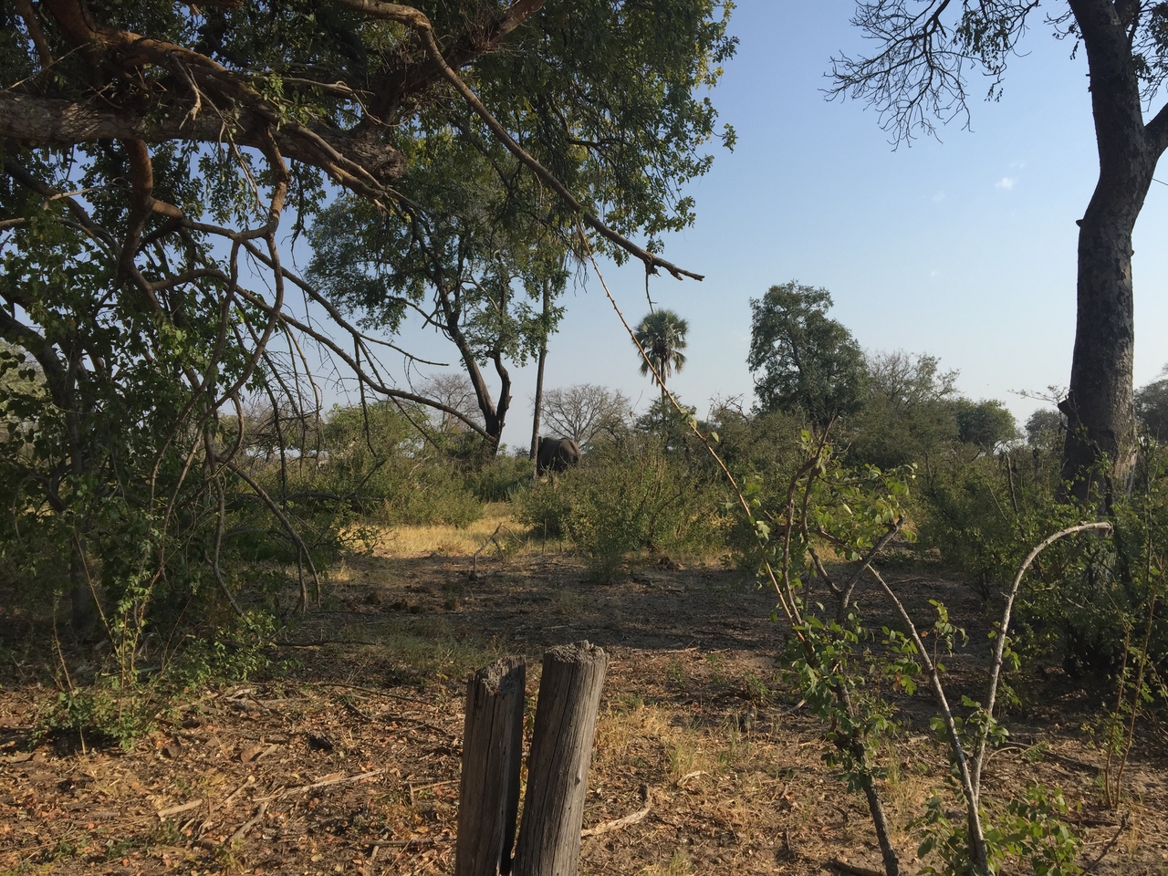 [28027] 2016_07_02_09_16_22_Africa_iPhone_6_Plus_IMG_4647_00609.jpg