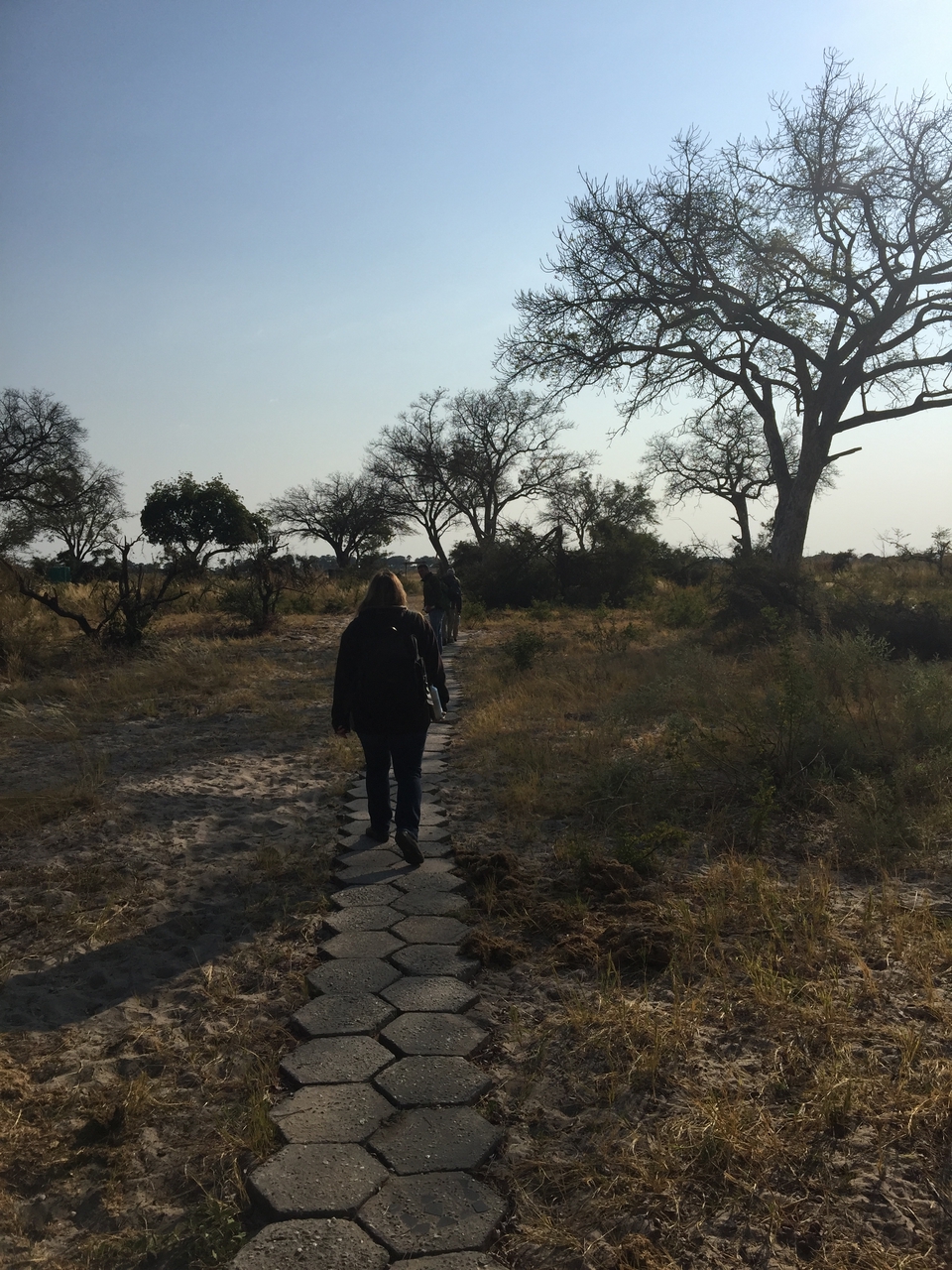 [28033] 2016_07_02_09_17_34_Africa_iPhone_6_Plus_IMG_4649_00610.jpg