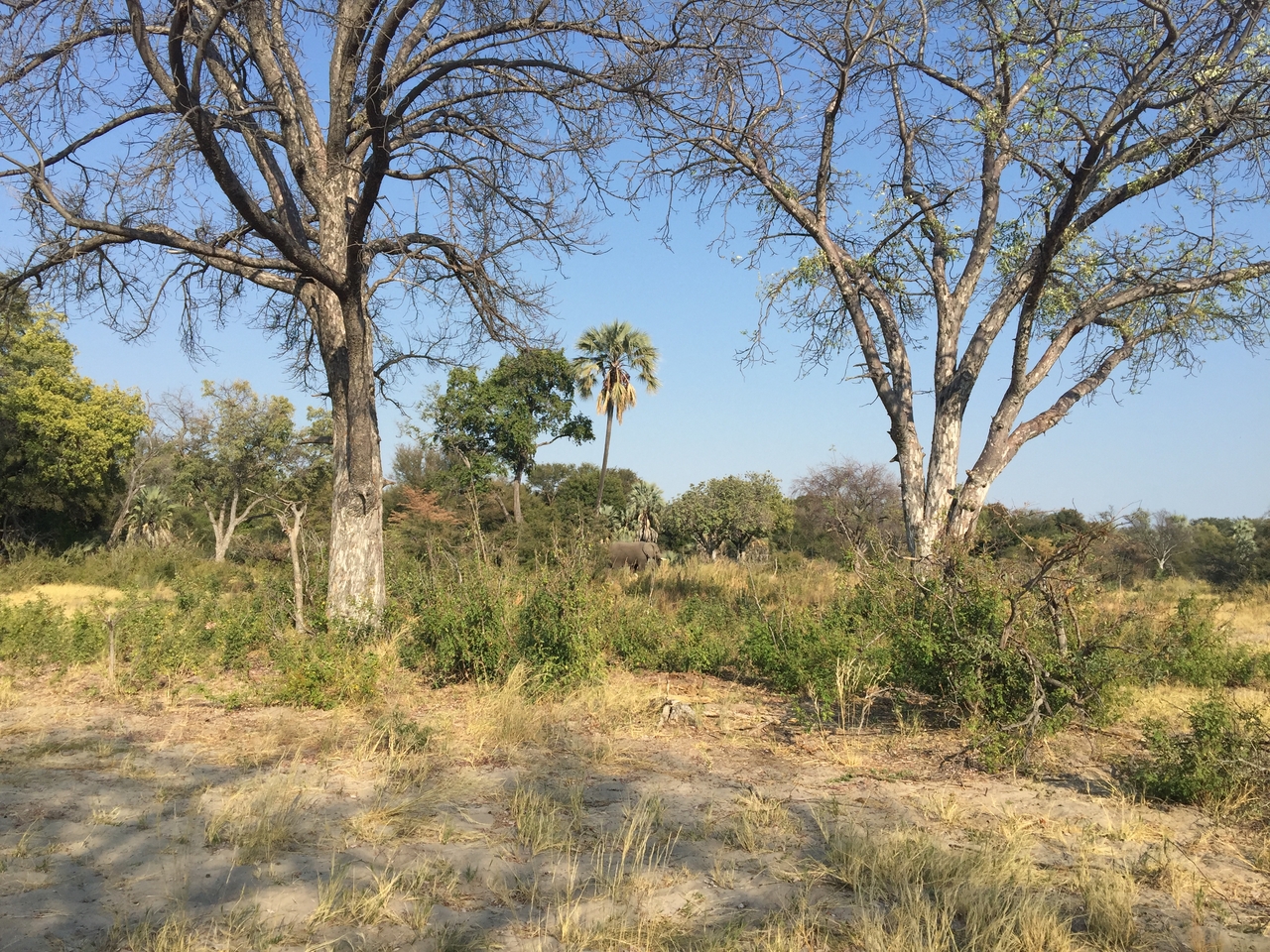 [28038] 2016_07_02_09_17_52_Africa_iPhone_6_Plus_IMG_4651_00124.jpg