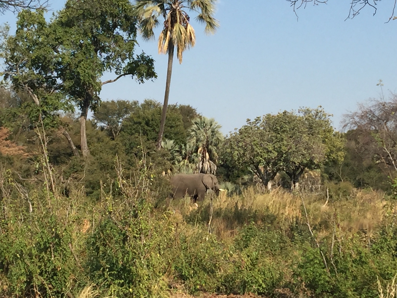[28042] 2016_07_02_09_17_55_Africa_iPhone_6_Plus_IMG_4652_00613.jpg