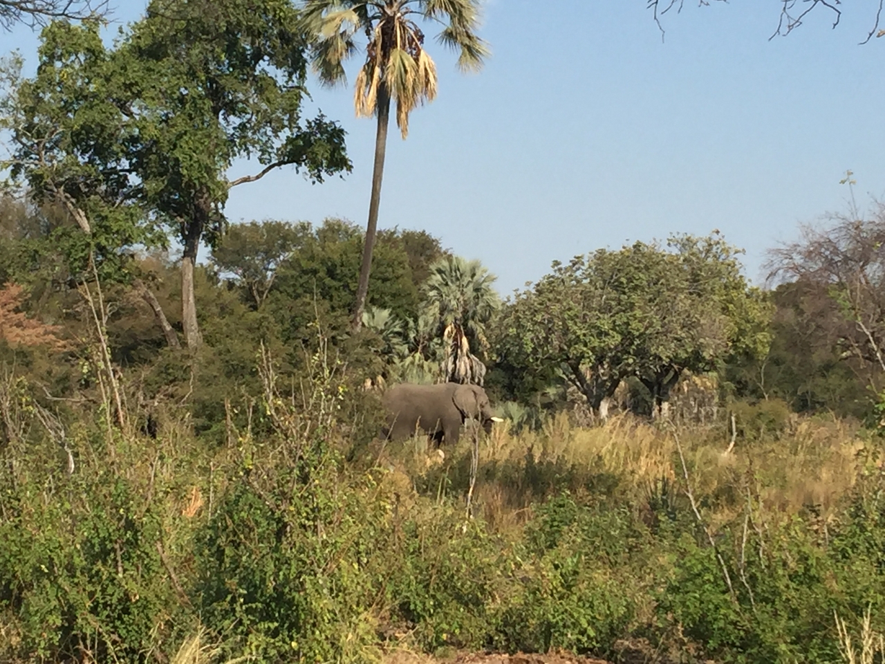 [28046] 2016_07_02_09_17_55_Africa_iPhone_6_Plus_IMG_4653_07198.jpg
