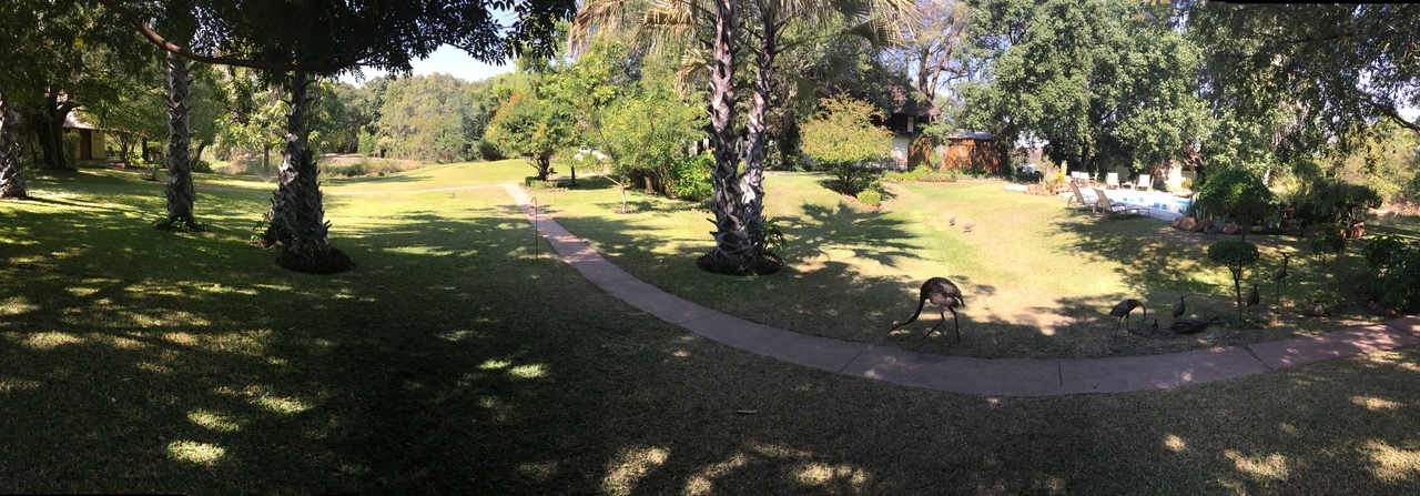[28689] 2016_07_02_13_13_26_Africa_iPhone_6_Plus_IMG_4761_00157.jpg