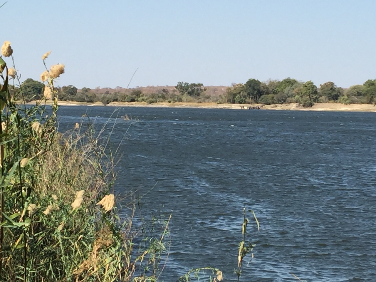 [28721] 2016_07_02_13_49_40_Africa_iPhone_6_Plus_IMG_4771_07239.jpg