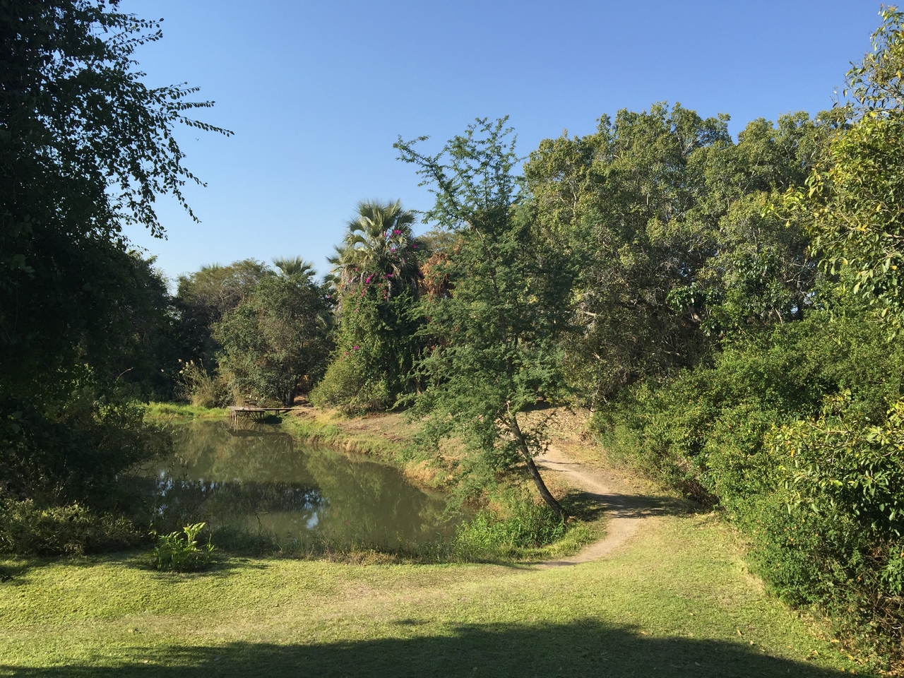 [28776] 2016_07_02_15_31_47_Africa_iPhone_6_Plus_IMG_4790_00182.jpg