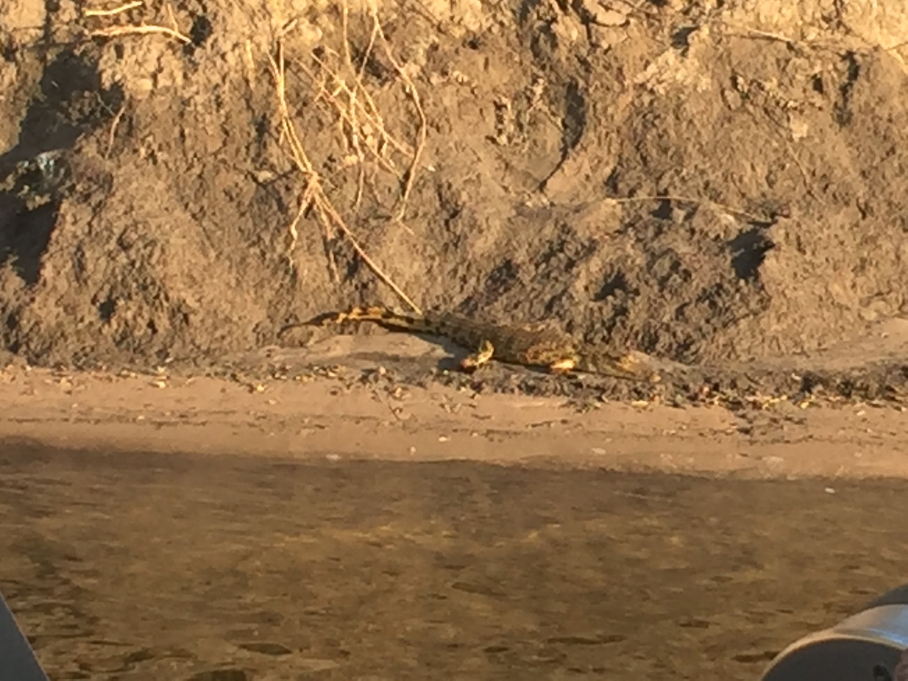 [28809] 2016_07_02_16_49_52_Africa_iPhone_6_Plus_IMG_4807_00193.jpg