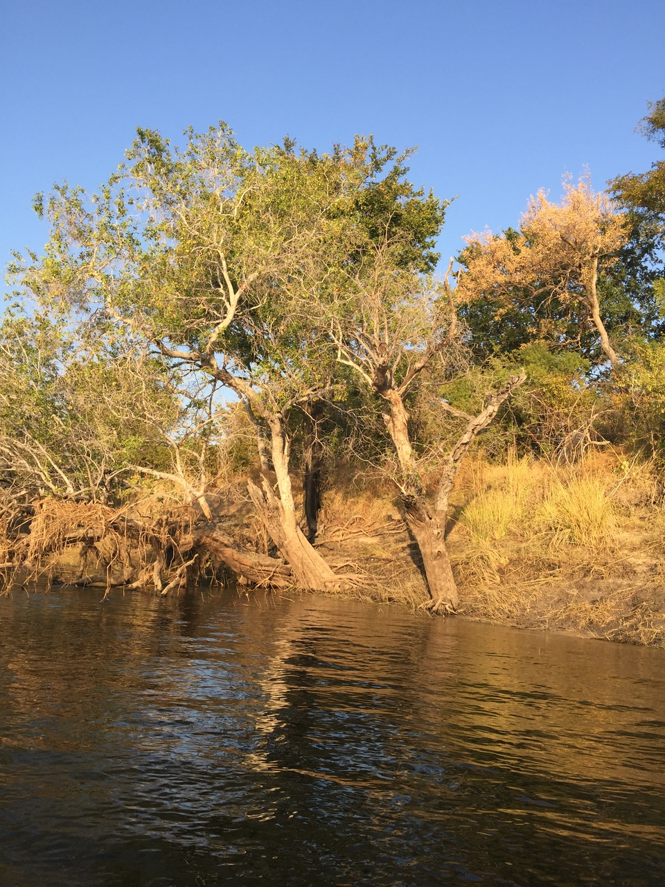 [28821] 2016_07_02_17_00_13_Africa_iPhone_6_Plus_IMG_4812_00197.jpg
