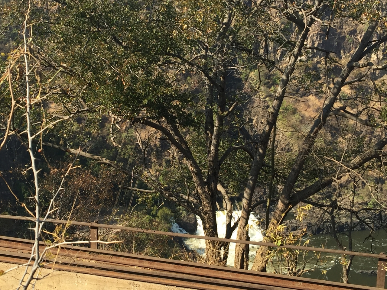 [31833] 2016_07_03_09_45_48_Africa_iPhone_6_Plus_IMG_4890_07327.jpg
