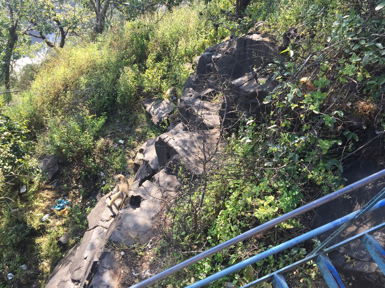 [31913] 2016_07_03_09_51_02_Africa_iPhone_6_Plus_IMG_4896_07333.jpg