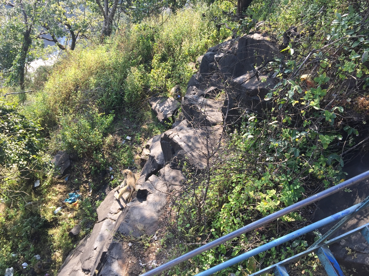 [31915] 2016_07_03_09_51_04_Africa_iPhone_6_Plus_IMG_4897_00750.jpg