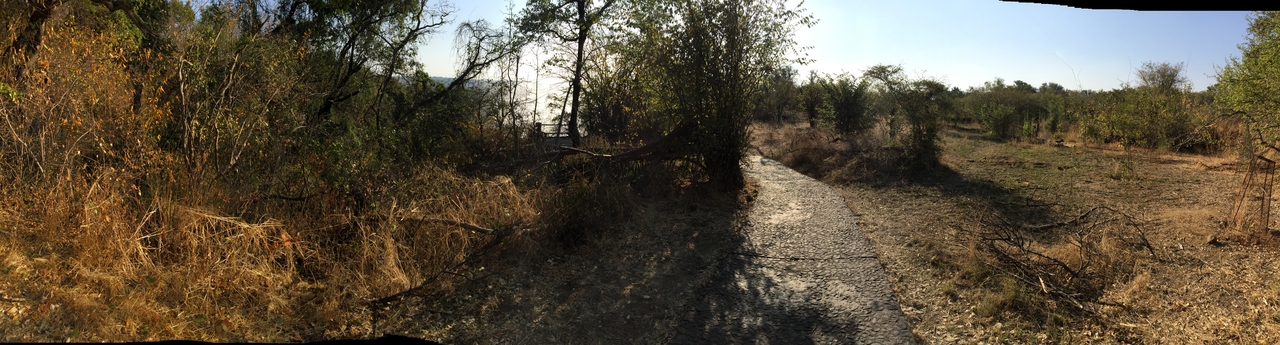 [32668] 2016_07_03_15_58_07_Africa_iPhone_6_Plus_IMG_4944_00297.jpg