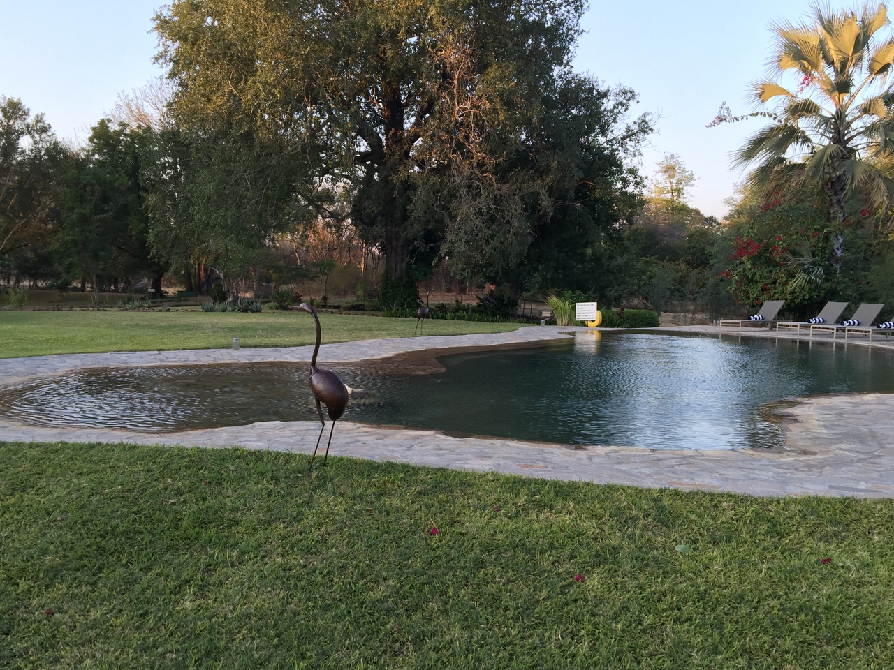 [32728] 2016_07_03_17_24_44_Africa_iPhone_6_Plus_IMG_4952_00789.jpg