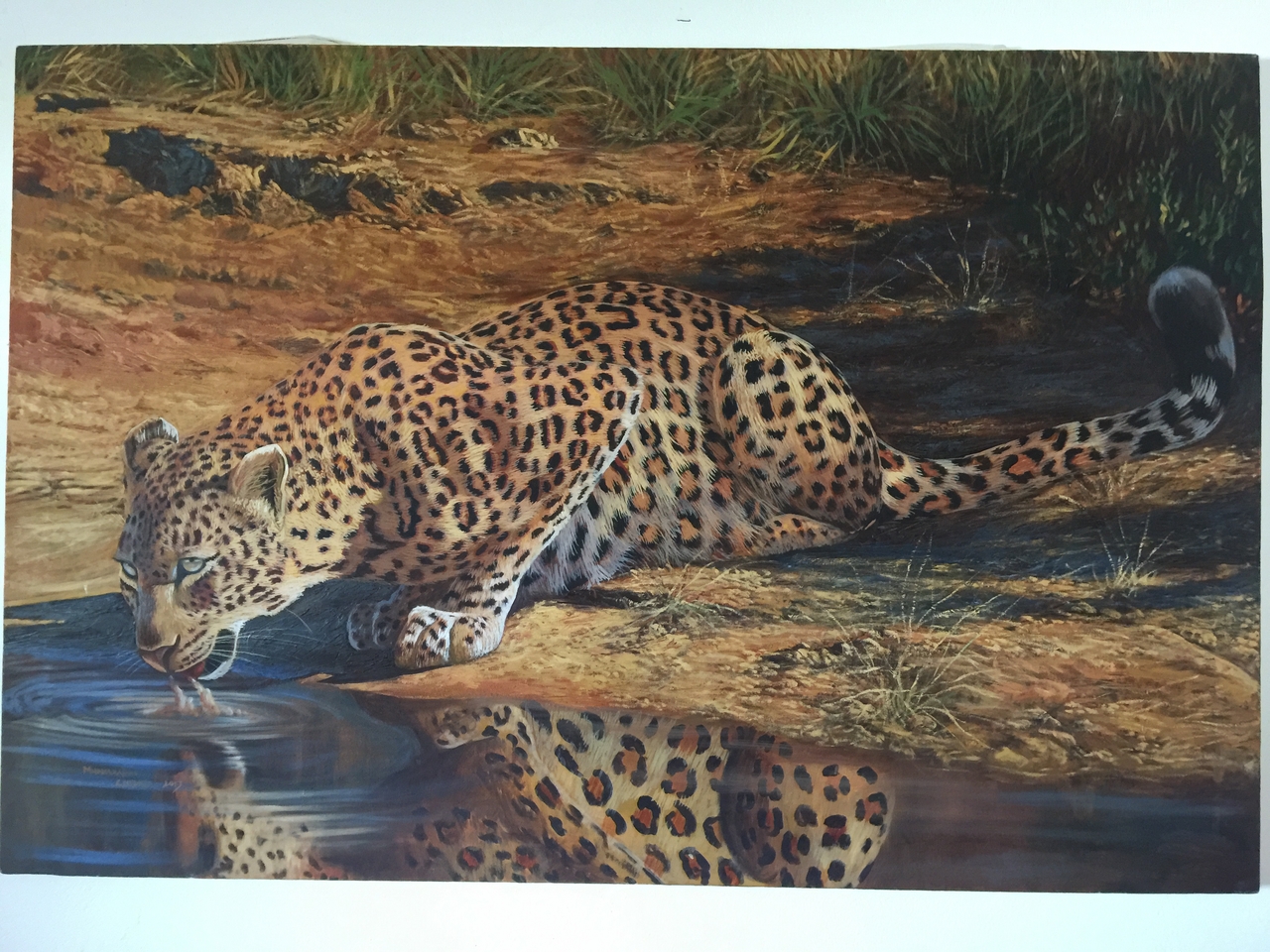 [34234] 2016_07_04_12_20_38_Africa_iPhone_6_Plus_IMG_4997_00830.jpg