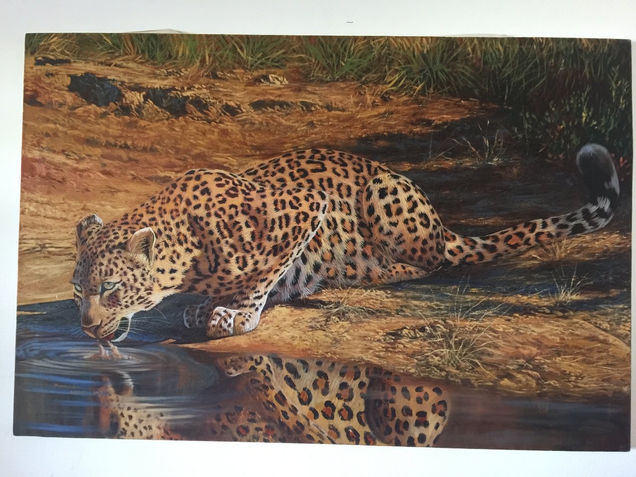 [34236] 2016_07_04_12_20_41_Africa_iPhone_6_Plus_IMG_4998_00343.jpg