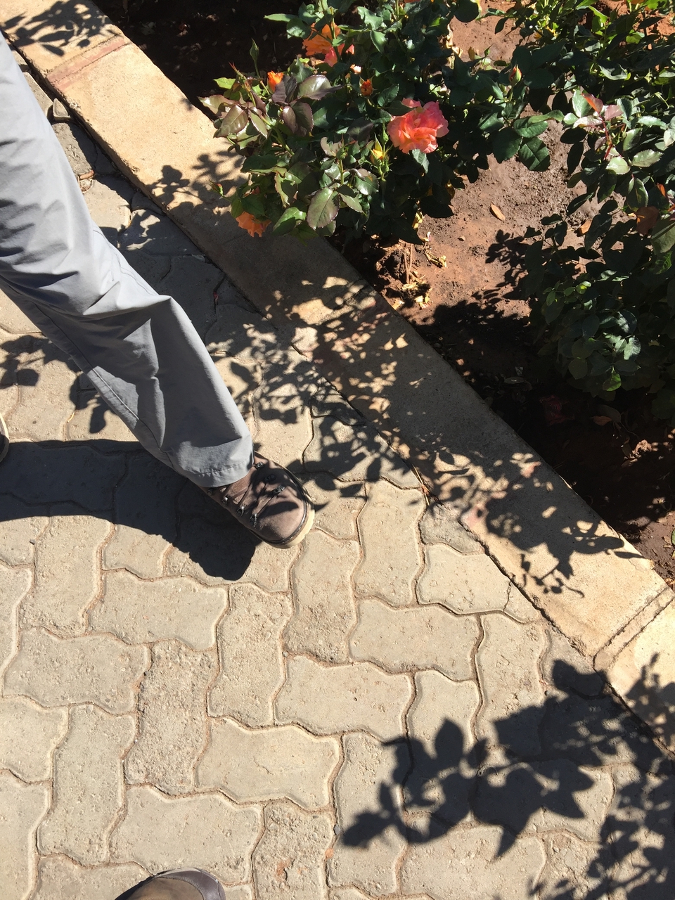[34486] 2016_07_05_11_08_13_Africa_iPhone_6_Plus_IMG_5033_07440.jpg