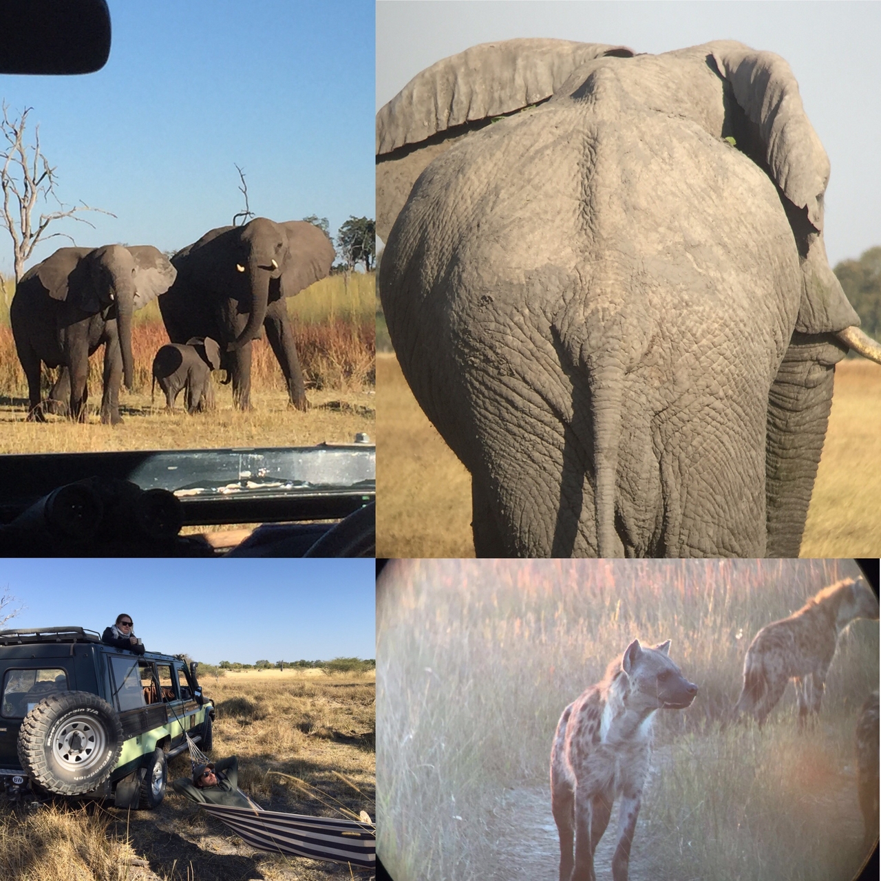 [34595] 2016_08_07_18_30_55-04_00_Africa_Other_Cameras_IMG__00870.jpg