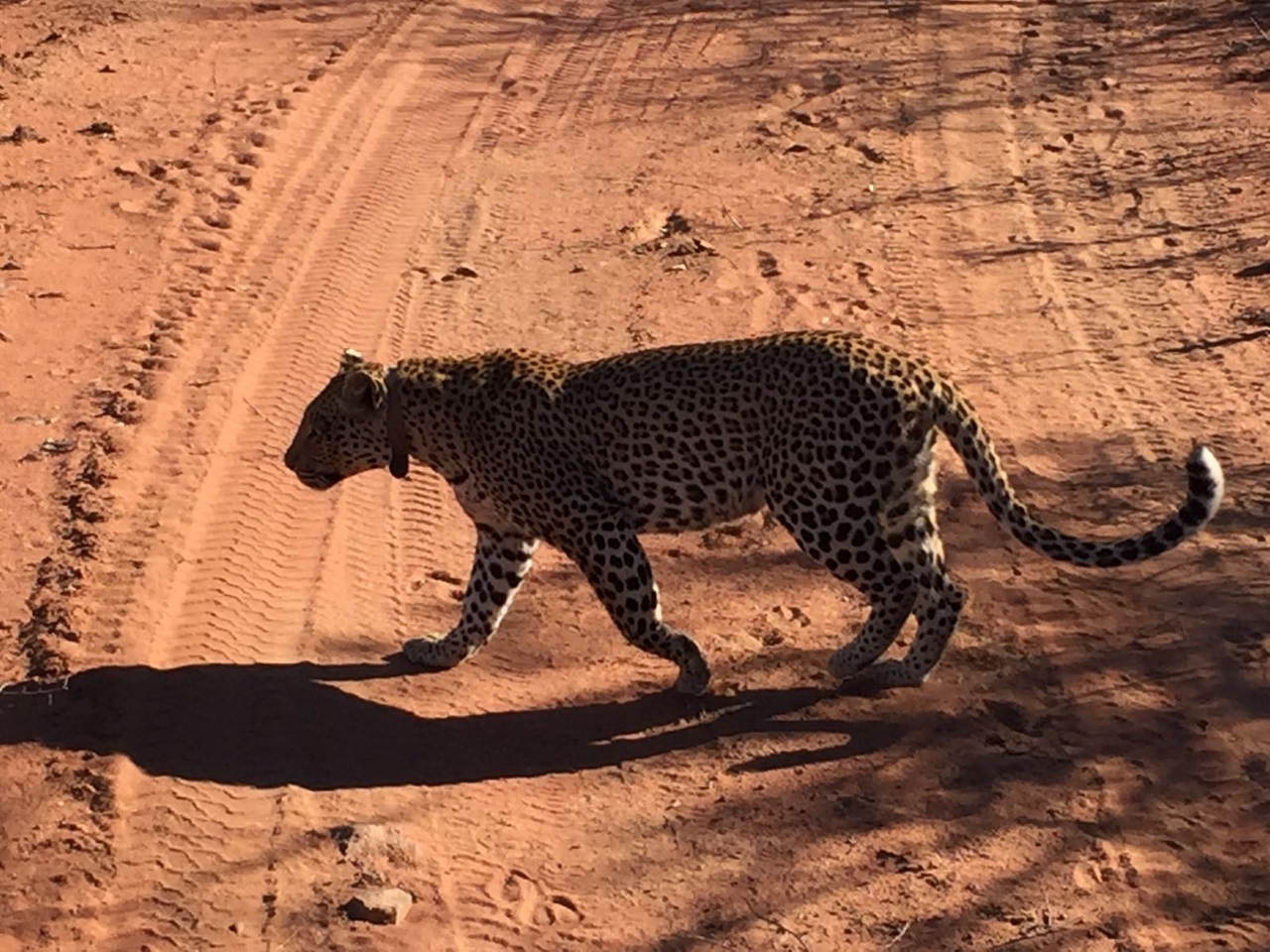 [34672] 2016_08_07_18_59_58-04_00_Africa_Other_Cameras_IMG__00101.jpg
