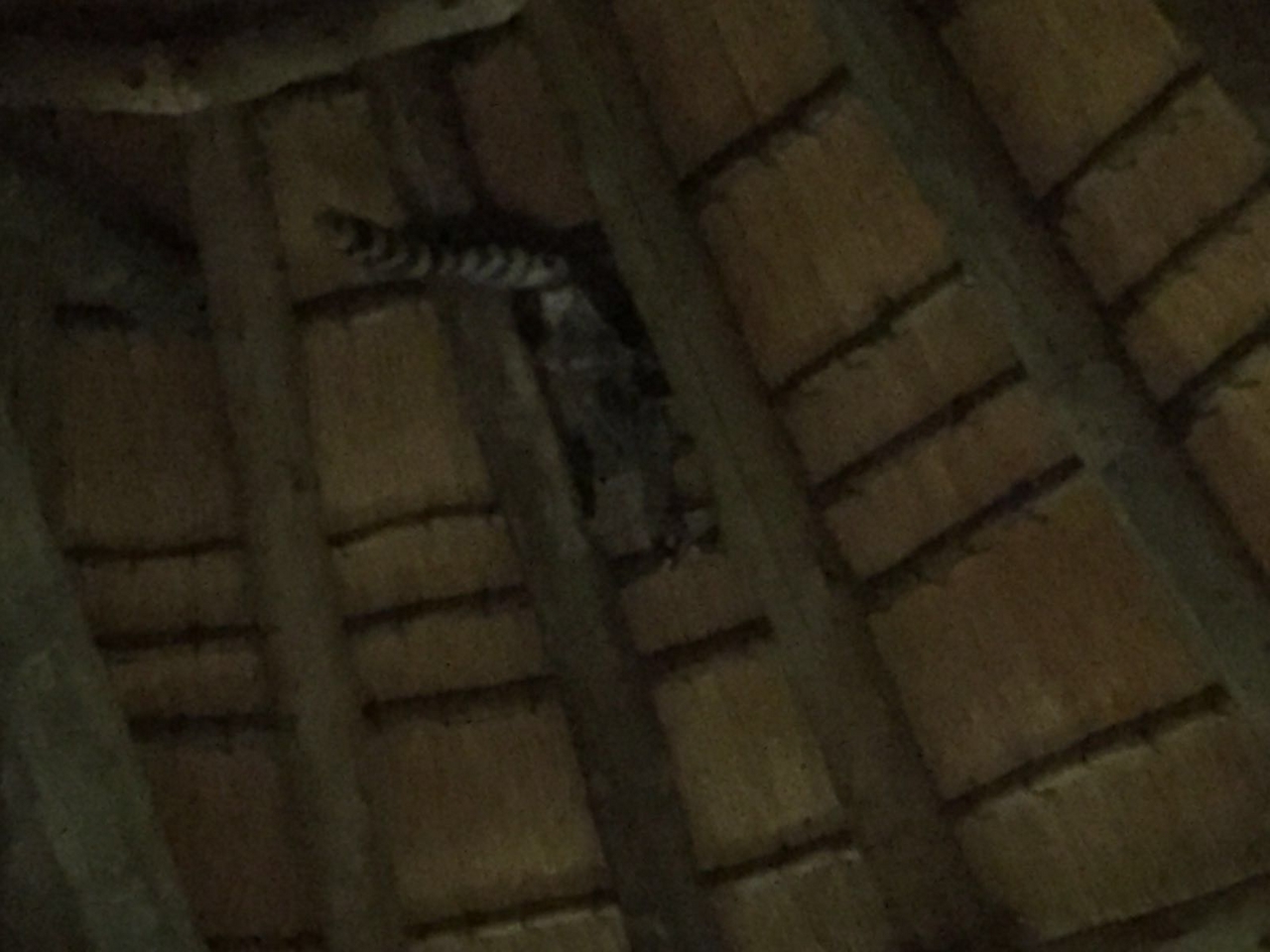 [34680] 2016_08_07_19_00_50-04_00_Africa_Other_Cameras_IMG_3567_00208.jpg