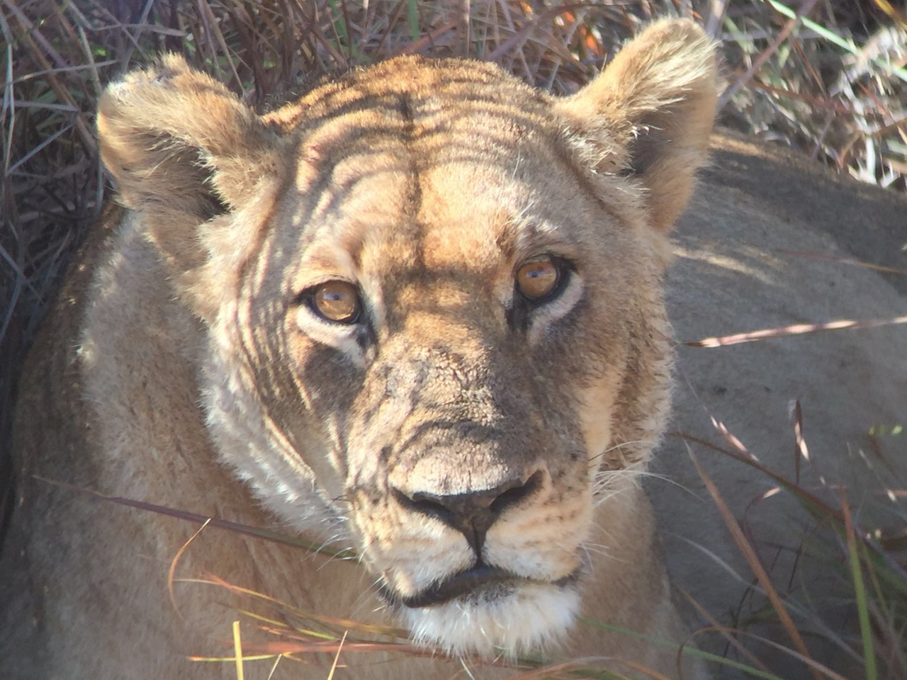 [34734] 2016_08_07_19_17_58-04_00_Africa_Other_Cameras_IMG_4957_00306.jpg