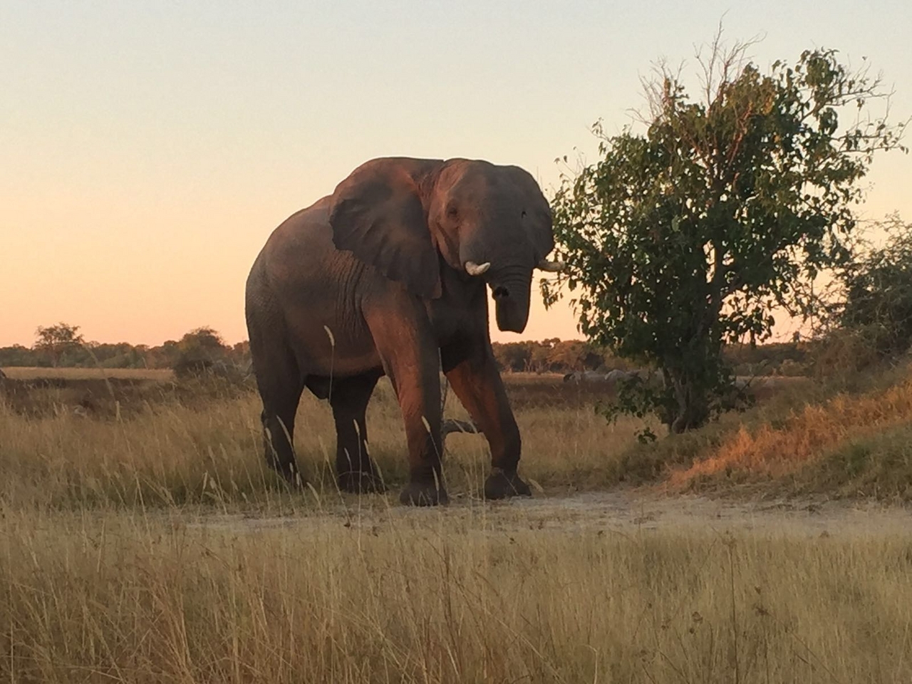 [34774] 2016_08_07_19_24_30-04_00_Africa_Other_Cameras_IMG_4963_00800.jpg