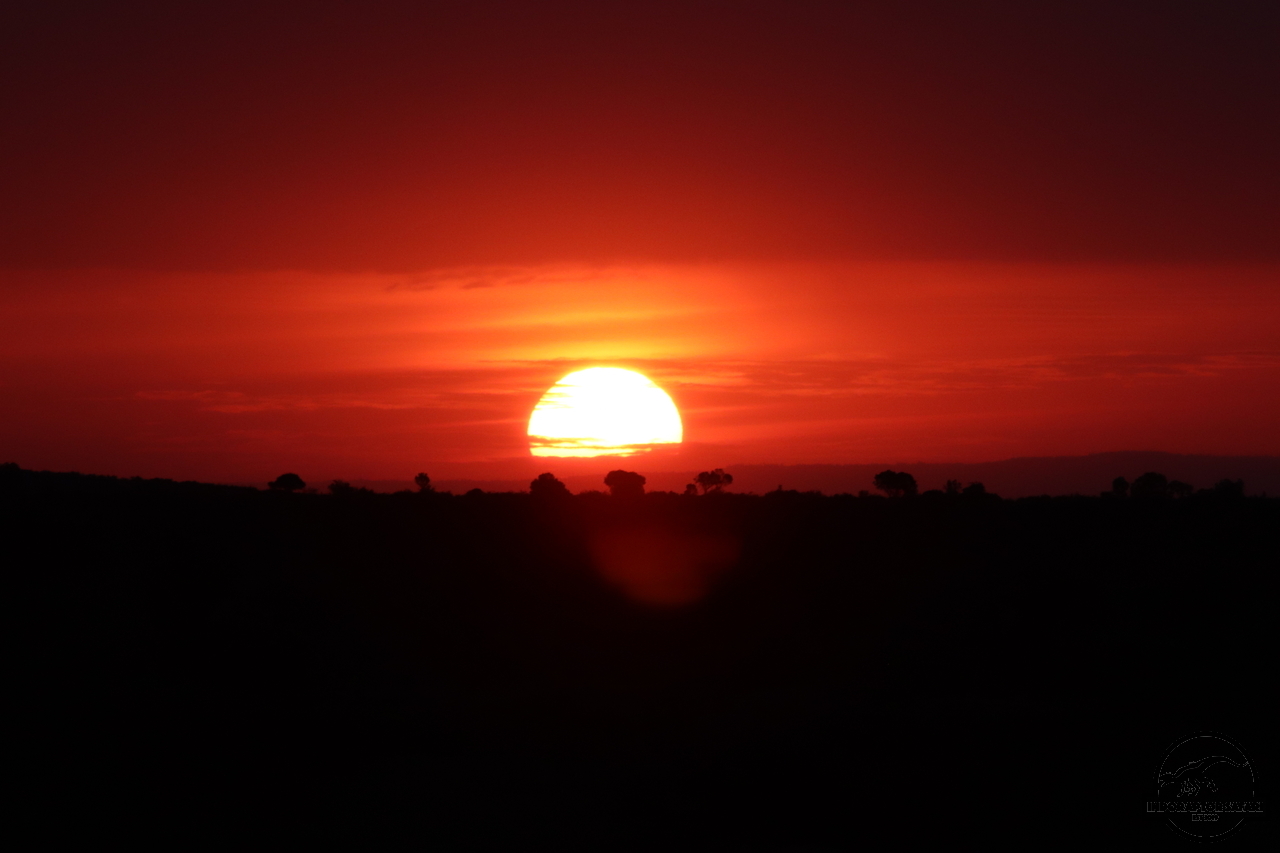 [9] 2019_07_04_17_42_41_Africa_Canon_EOS_77D_IMG_4014_00009.jpg