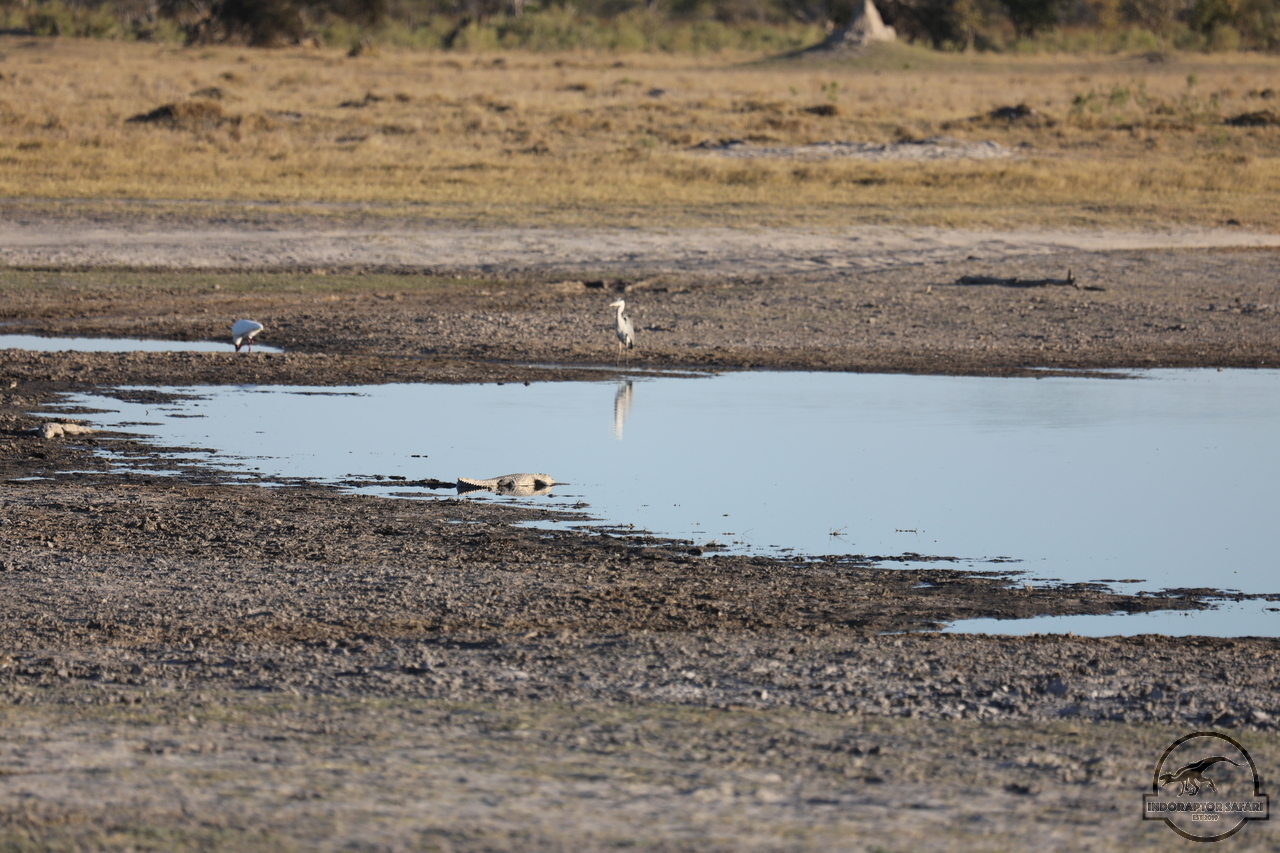 [36] 2019_06_21_22_12_11_Africa_Canon_EOS_5D_Mark_IV_IMG_0004372_00003.jpg